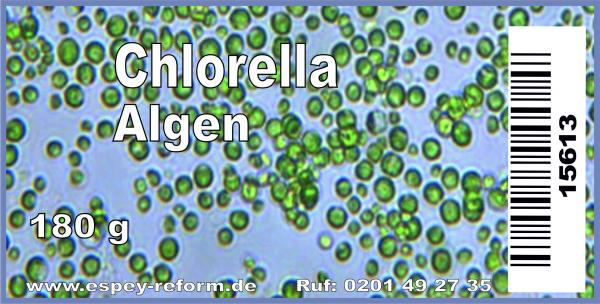 Chlorella Algen